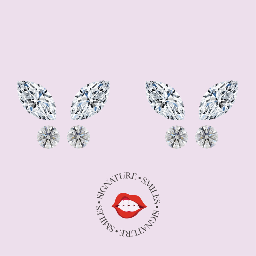 Double Butterfly DIY Tooth Gem Kit